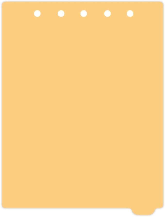 Carstens - Heavy Duty Plastic Ring Binder Dividers, Bottom Tab, 1/9 Cut, Tab 9 Position, US Letter, Pale Orange, Case of 50, (2619-18CS) - Ideal Medical Chart Dividers or Index Tabs for 3 Ring Binders