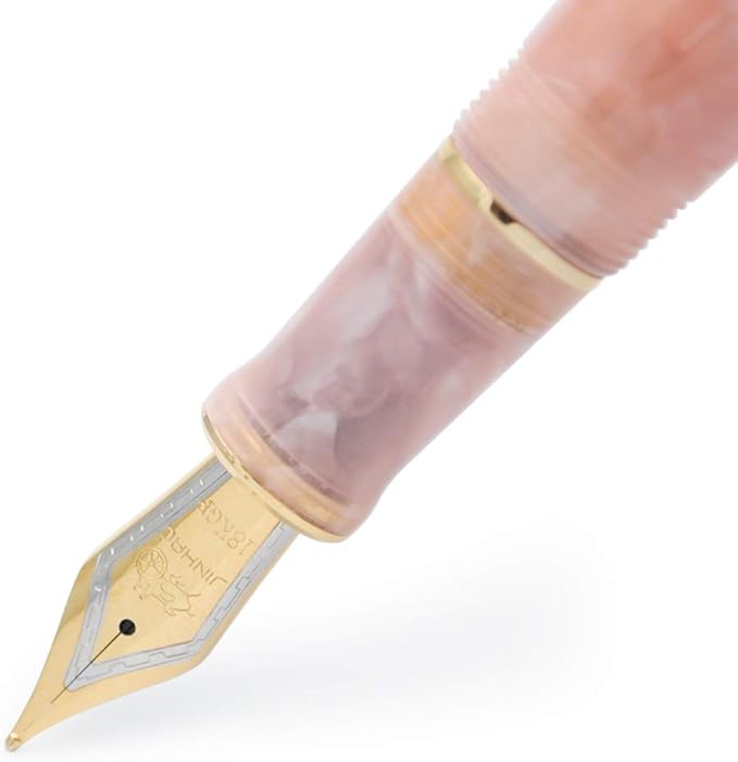 JINHAO 100 Fountain Pen with Ink Converter (Medium Nib 0.7mm, Sakura Pink)