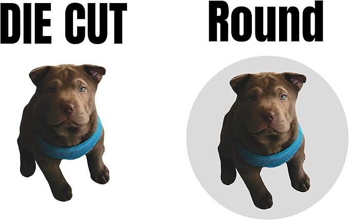 VulgrCo Custom Design Your Own Personalized Labels Stickers Decals Text Name Image Photo 120 Pack - Waterproof, Dishwasher Safe, Fade Resistant, UV Protected, Heat and Cold Resistant