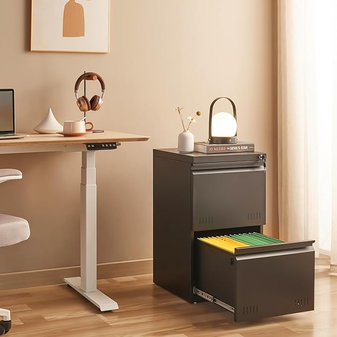 2 Drawer File Cabinets for Home Office, Vertical File Cabinet with Lock, Printer Stand, Office Storage Cabinet for A4/Letter/Legal Size, Under Desk Filing Cabinet, Assembly Required(Black)
