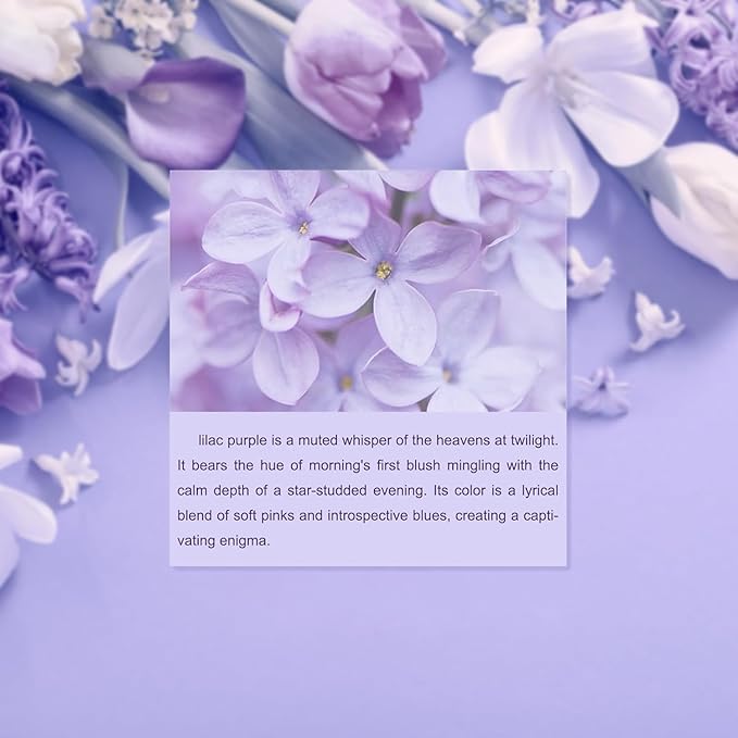 Metronic Poly Mailers 19x24 Inch 500 Pcs, Large Shipping Bags for Clothes, Shipping Envelopes for Small Business, Strong Adhensive Mailing Bags, Lilac Purple