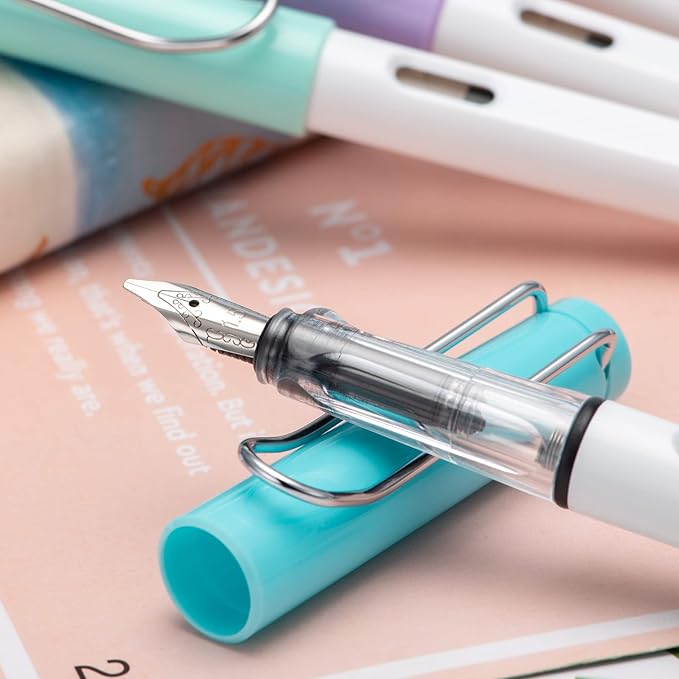 Lanxivi Calligraphy Fountain Pen Set, 6 Assorted Tip Sizes and Color for Art Drawing and Writing Signature