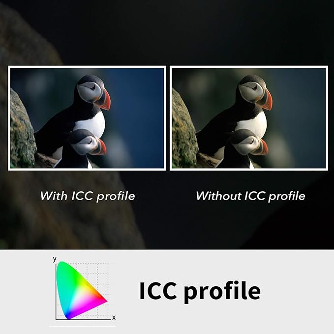 Plustek OpticFilm 8100-35mm Negative Film/Slide Scanner with 7200 DPI and 48-bit Output. Bundle Silverfast SE Plus 9, Support Mac and Windows