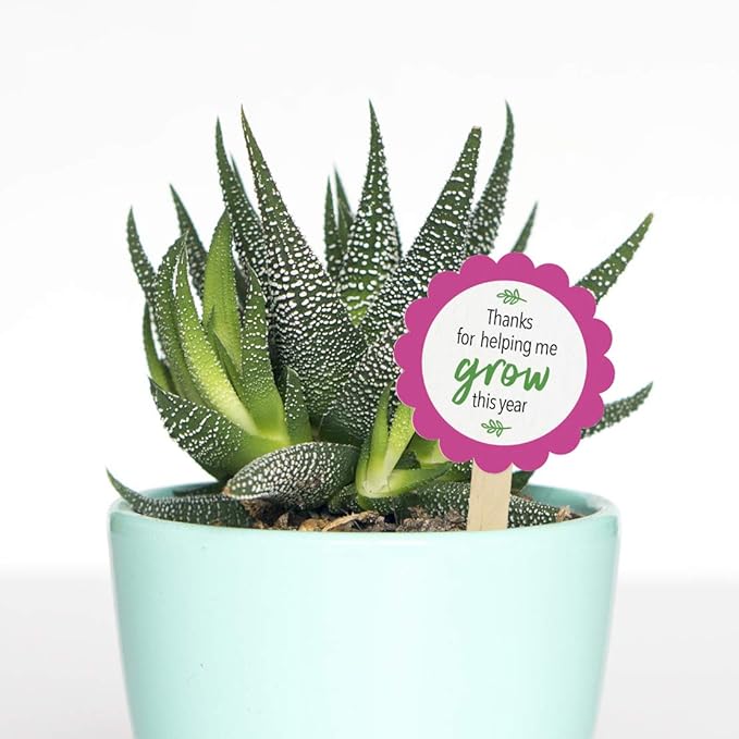 Printworks White Cardstock, 67 lb, 96 Bright, FSC Certified, (5 pack bundle) 500 Sheets, 8.5 x 11 Inch (00540C)