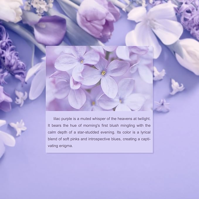 Metronic Large Poly Mailers 24x24 100 Pcs, Strong Adhensive Shipping Bags for Clothing, Waterproof Mailers Bags for Small Business, Shipping Envelopes, Tear-resistant Mailing Bags in Lilac Purple