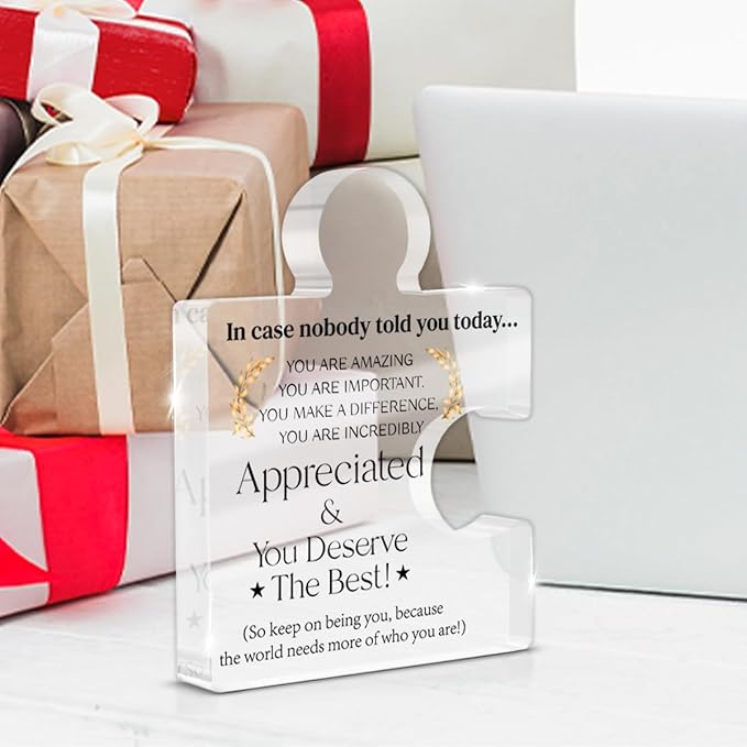 Employee Appreciation Gifts Thank You Gift Goodbye Leaving Gifts for Coworkers Colleagues Employees, in Case Nobody Told You Today You Are Appreciated Acrylic Puzzle Piece Plaque Office Decor