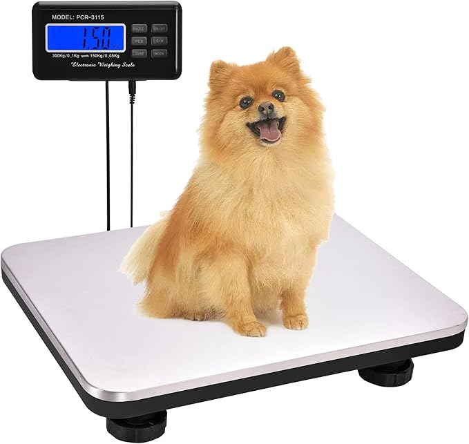 Shipping Scale 660lbs LCD Digital Postal Scale, Stainless Heavy Duty Postage Scale for Packages, 300kg Capacity Platform Scale for Shipping Weighing(14"X 12")