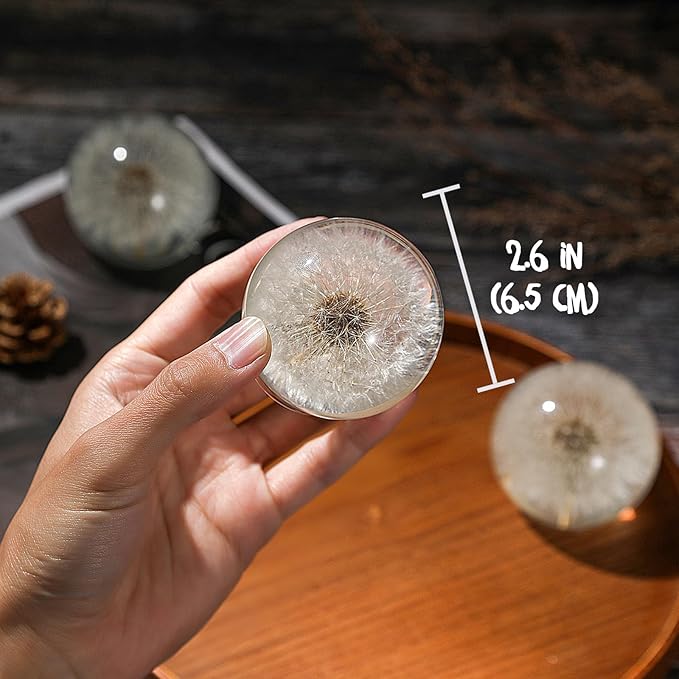 Dandelion Paperweight – Real Dandelion in Crystal Glass Ball, Unique Gift & Home Office Decor, Symbol of Luck, Hope, and Wishes for Birthday, Graduation, Wedding