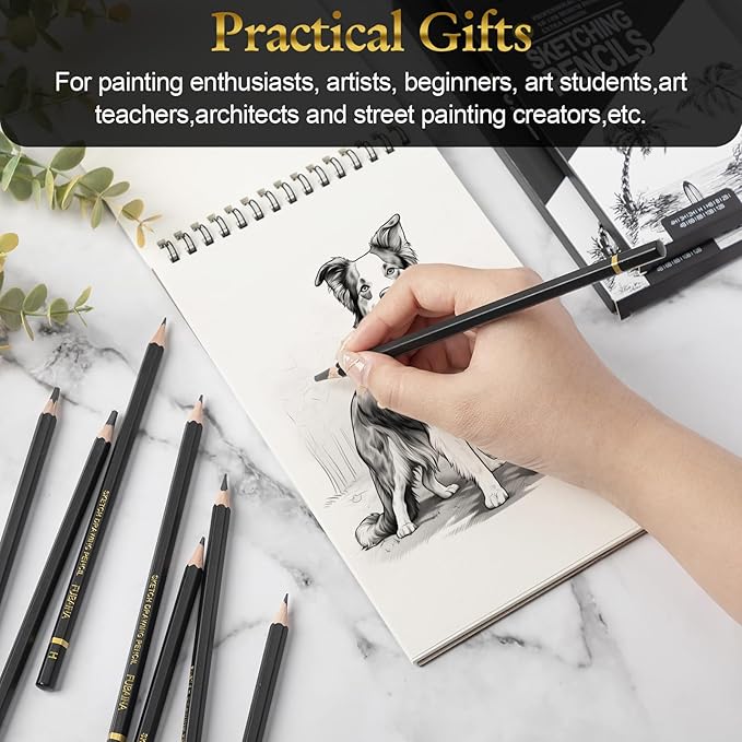 Humyoun 144 Pcs Drawing Sketching Pencil Set Professional (12b - 4h) Graphite Charcoal Gift Bulk for Artists Beginners, Pro Artists, Drawing Art, Sketching