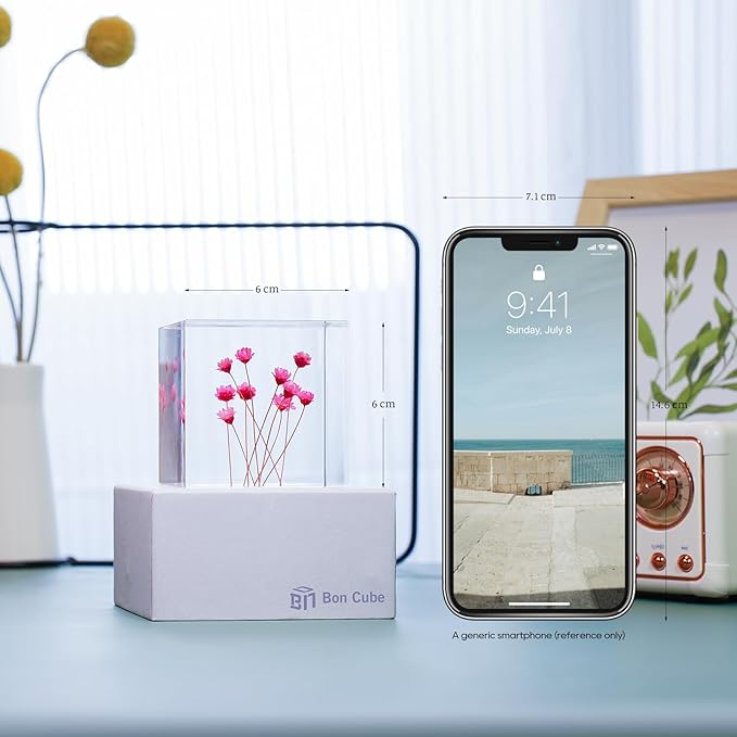 Acrylic Cube with Real Starflowers Inside 6cm Cube Colorful Aesthetic Shelf Decor Desk Decor Paperweight for Girlfriend