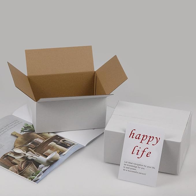 8x6x4 Inches Shipping Boxes Set of 40, White Corrugated Cardboard Box Literature Mailer for Packing Small Business
