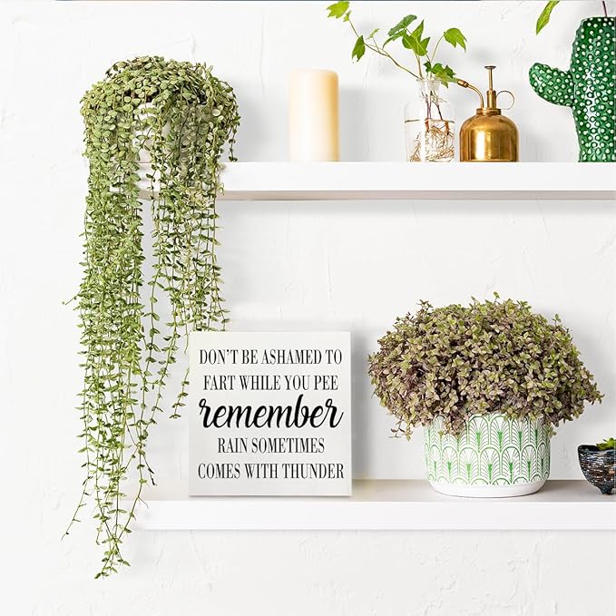 HTBIG Funny Bathroom Decor Desk Decor Wooden Box Sign Rustic White Wood White Plaque Box Sign for Home Farmhouse Bar Toilet Washroom Shelf Table Decoration Don't be Ashamed to Fart While Peeing Sign