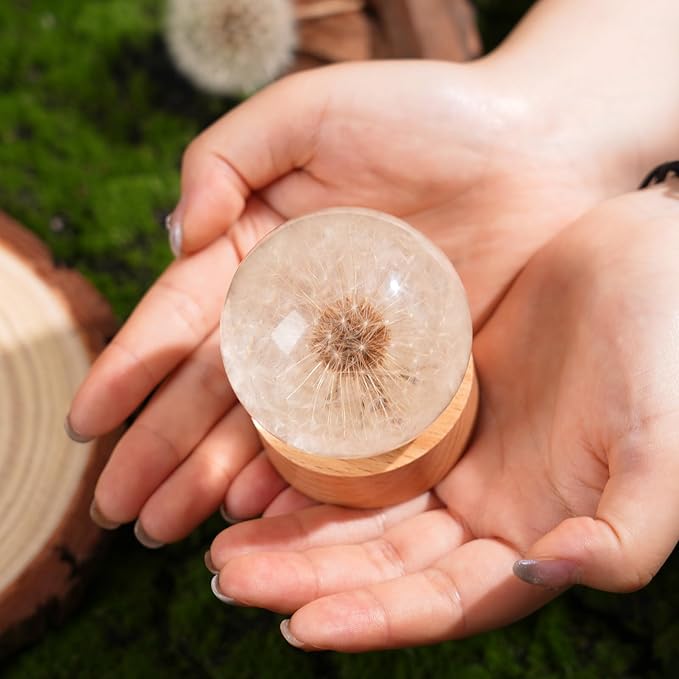 Dandelion Resin Paperweight – Real Dandelion Wish Ball, Unique Home & Office Decor, Symbol of Luck & Appreciation, A Thoughtful Gift & Keepsake for Birthdays, Weddings & Graduations