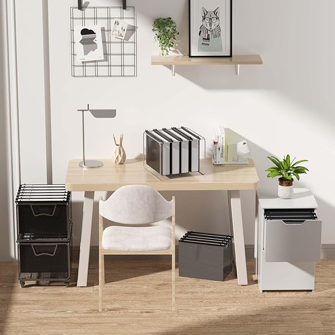 Extra Capacity Plastic Hanging File Folder Letter Size,12 Pack Reinforced Hang Folders with Heavy Duty 2 Inch Expansion,Durable Hanging Organizer Designed for Bulky Files(Black)