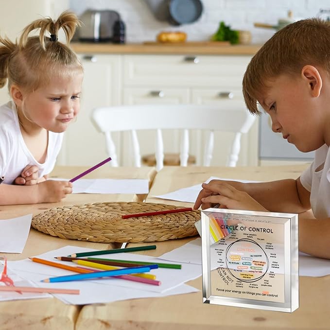 Mental Health Things I Can Control Decor - Therapy Office Acrylic Gifts - Psychology Art Decor for Treatment Room Office School Classroom - Art Decorations for Therapist Office Living Room Bedroom