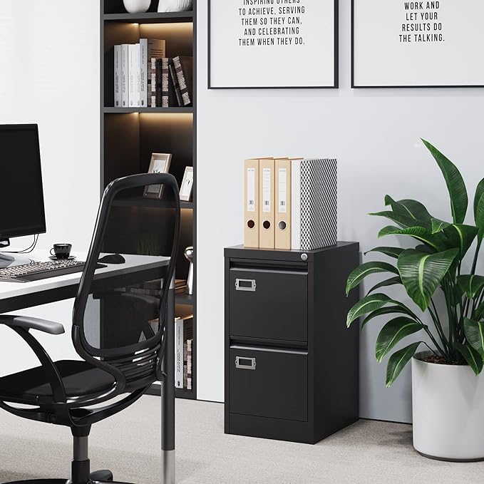 2 Drawer File Cabinet with Lock Metal Vertical Filing Storage Cabinet Office Home Steel Vertical File Cabinets for A4 Legal/Letter Size Narrow File Cabinet Locked,Assembly Required