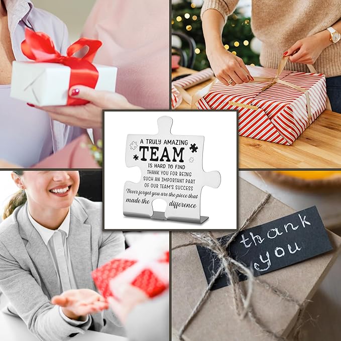 Team Gifts for Employees, Coworkers, Women, Team Thank You Appreciation Gifts, Team Plaque, Team Puzzle Piece Gift, Team Christmas Team Work Office Desk Decor Gifts Decorative Signs Plaques WDD19