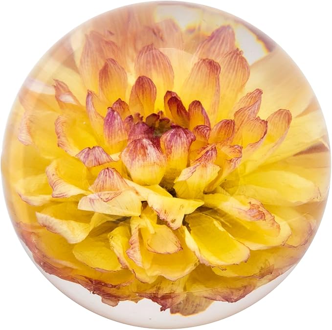Real Yellow Dahlia Paperweight - Home Decor Crystal Resin Ball 3.14in (80mm) - Clear Resin Yellow Dahlia Flower Globe for Special Days - Sphere Figurine Office Paperweight w/Flat Bottom