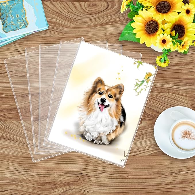 5PCS 9" x 12" Rigid Print Protectors Clear Plastic Sheet Protectors, Heavy Duty Top Loading Document Holder, Menu Cover, Photo Poster Sleeves Hard Plastic Sleeves for Paper Art Prints