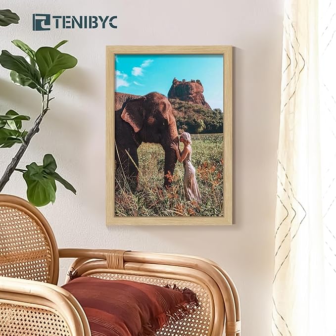 13x19 Picture Frame 3 Pack, Natural Oak Wood Grain & HD Tempered Glass, Gallery Poster Frame - Wall Hanging