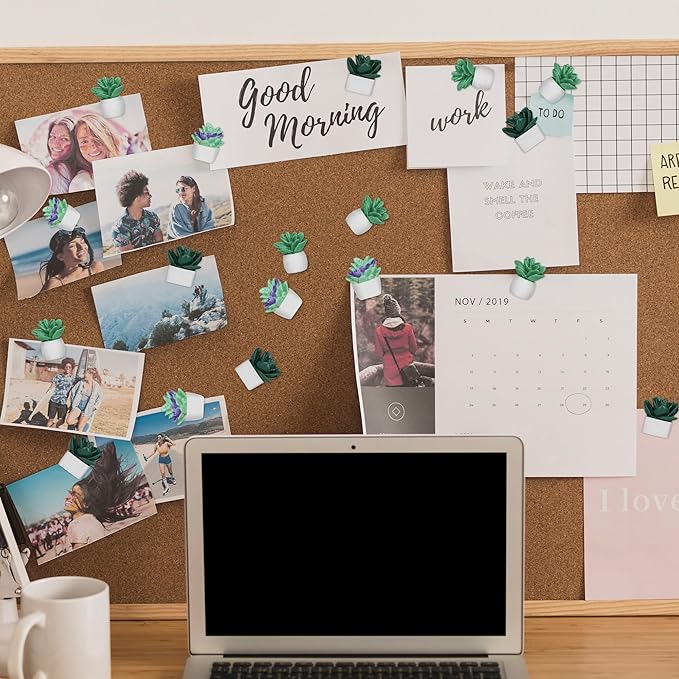 9 Pieces Push Pins Succulent Plants Floret Thumbtacks for Cork Board, Bulletin Boards, Photo Walls, Maps, Whiteboard, Bulletin Board and Other Offices Articles (Three Assorted Styles)