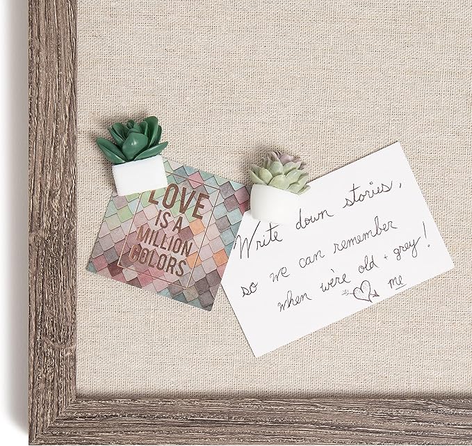 U Brands Succulent Push Pins Set, Office Supplies, Three Assorted Styles, 9 Count