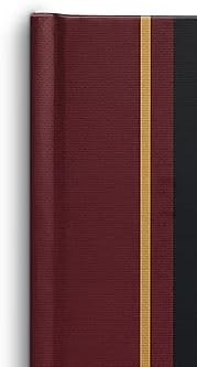 STAPLES 217679 Black Ledger Book 11-3/4-Inch x 7-5/16-Inch