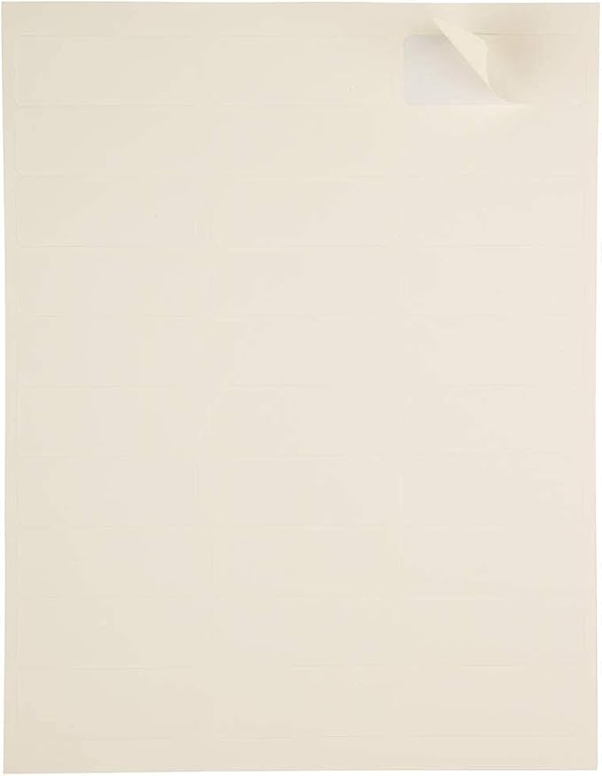 JAM PAPER Return Address Labels - Standard Mailing - 1 x 2 5/8 - Ivory - 120 Shipping Labels/Pack