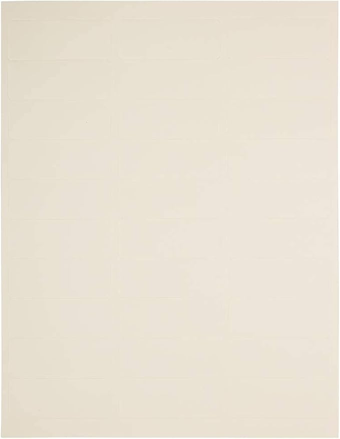 JAM PAPER Return Address Labels - Standard Mailing - 1 x 2 5/8 - Ivory - 120 Shipping Labels/Pack