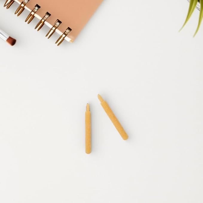 NUOBESTY 30Pcs 3mm Paint Marker Nibs Replacement Tips for Acrylic Paint Markers, Universal Permanent Pen Points, Easy to Replace for Artists, Students, Office Use