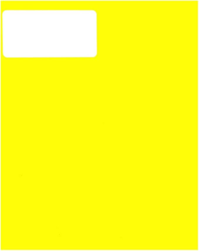 JAM PAPER Shipping Address Labels - Standard Mailing - 2 x 4 - Neon Fluorescent Yellow - 120/Pack