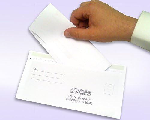 NextDayLabels Form and Envelope Combination (8-1/2 x 11 Inch, Pack of 250)
