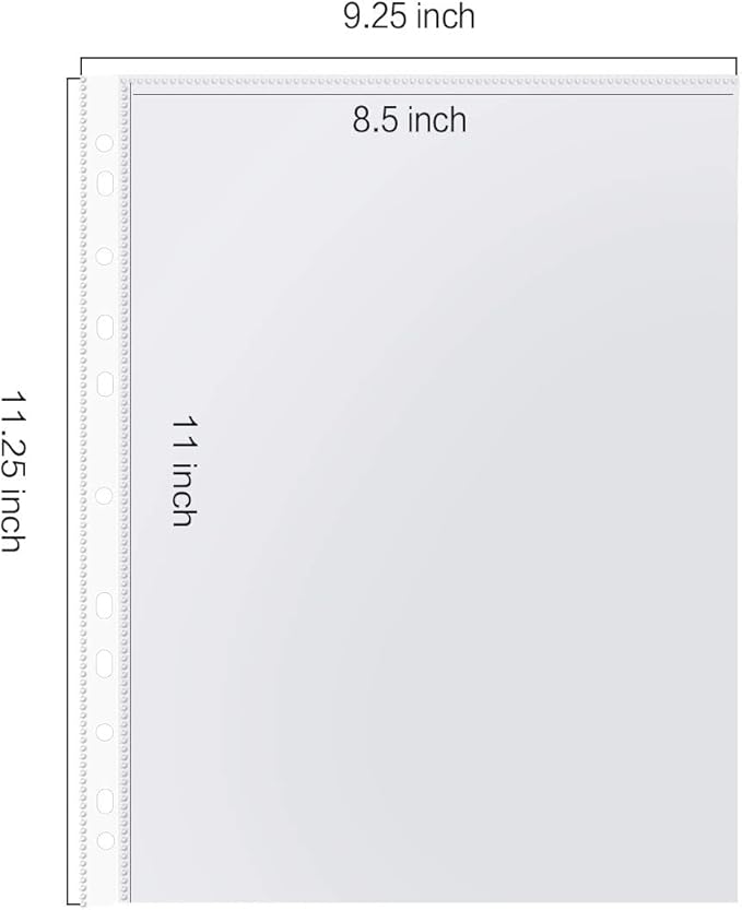 Sheet Protectors, PANDRI 700 Pack Clear Heavy Duty Plastic Page Protectors Sheet Reinforced 11-Hole Fit for 3 Ring Binder Fits Standard 8.5 x 11 Paper, 9.25 x 11.25 Top Loaded, Excluding Acid