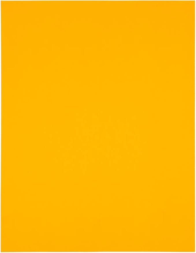 JAM Paper Mailing Address Labels - Extra Large - 4" x 5" - Neon Fluorescent Orange - 120/pack