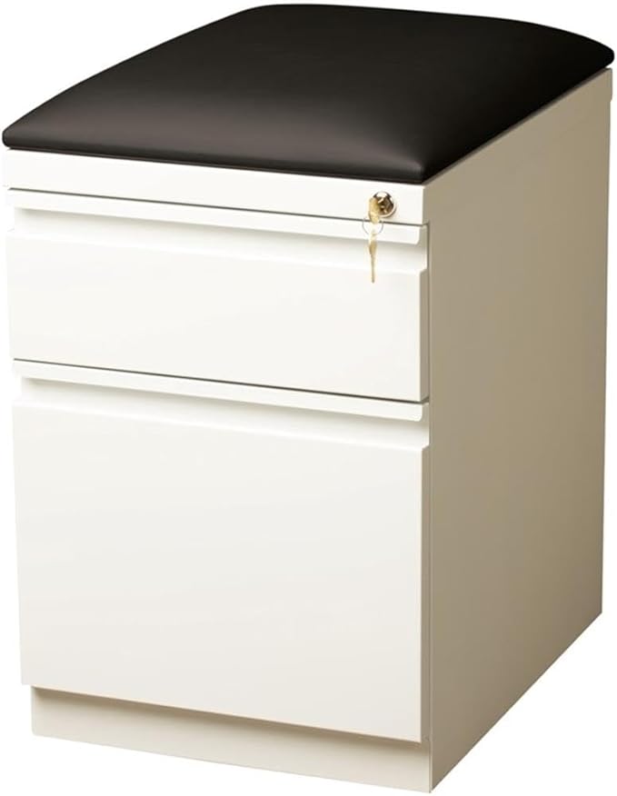 Pemberly Row 2-Drawer Metal Mobile Pedestal Filing Cabinet in White/Black