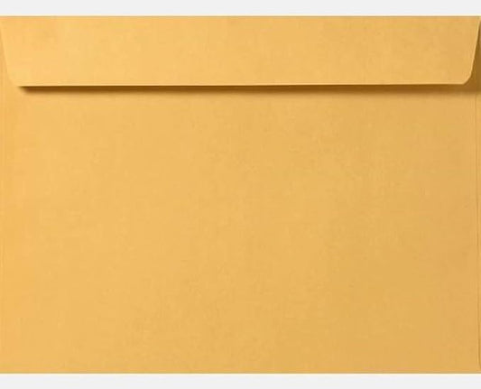 Limited Papers (TM) Booklet Envelopes, (Open Side) Brown Kraft, Gummed Seal, 28 Pound, Heavyweight, For Mailing And More. (250, 6 x 9.5)