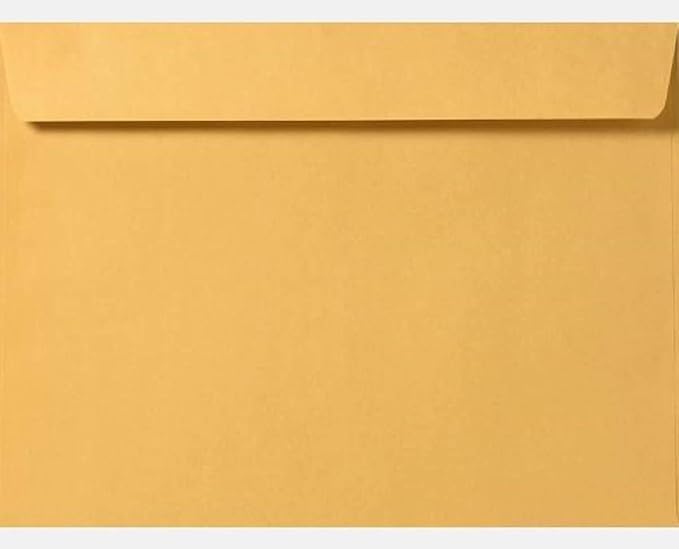 Limited Papers (TM) Booklet Envelopes, (Open Side) Brown Kraft, Gummed Seal, 28 Pound, Heavyweight, For Mailing And More. (250, 9.5 x 12)