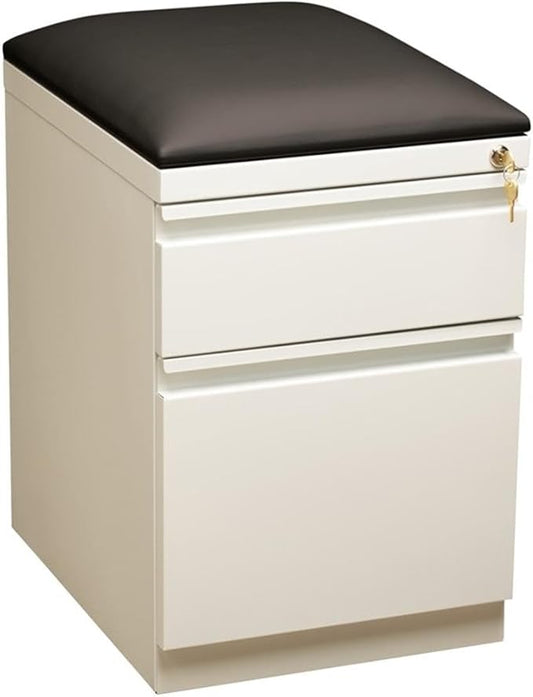 Pemberly Row 2-Drawer Metal Mobile Pedestal Filing Cabinet in White/Black