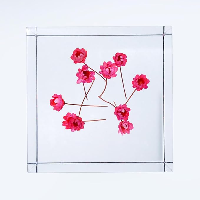 Acrylic Cube with Real Starflowers Inside 6cm Cube Colorful Aesthetic Shelf Decor Desk Decor Paperweight for Girlfriend