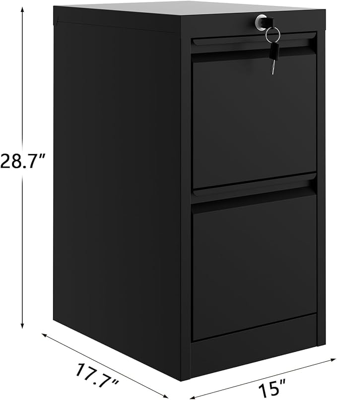 GarveeHome File Cabinet with 2-Drawer Lock - Vertical Metal Filing Cabinet for Letter/Legal Size Documents - Heavy Duty File Storage for Home Office | Requires Assembly, Black