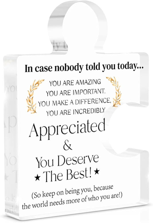 Employee Appreciation Gifts Thank You Gift Goodbye Leaving Gifts for Coworkers Colleagues Employees, in Case Nobody Told You Today You Are Appreciated Acrylic Puzzle Piece Plaque Office Decor