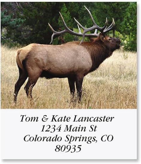 Bugling Elk Square Return Address Labels - Set of 144 1-1/8" x 2-1/4" Self-Adhesive, Flat-Sheet Labels