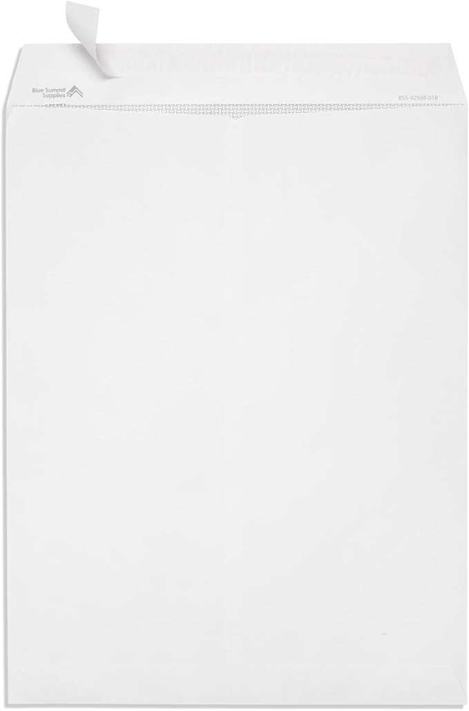 Blue Summit Catalog Envelopes, 10 x 13 Peel & Seal Envelopes, White Wove with Center Seam, 100 Envelopes