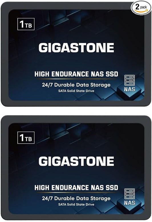 Gigastone 1TB NAS SSD Drive (2-Pack) 24/7 Durable TLC High Endurance RAID Data Storage Network Attached Storage 2.5" SATA Internal Solid State Hard Drives