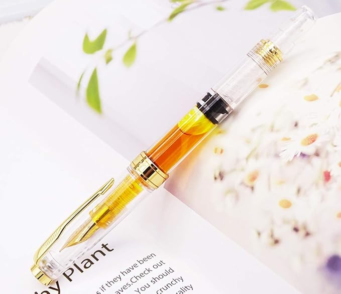 Lanxivi Yongsheng 3011 Demonstrator Clear Classical Fountain Pen Fine Nib Arrow Clip, Piston Filling System, Gold Trim, Set of 4 Pieces in transparent Color