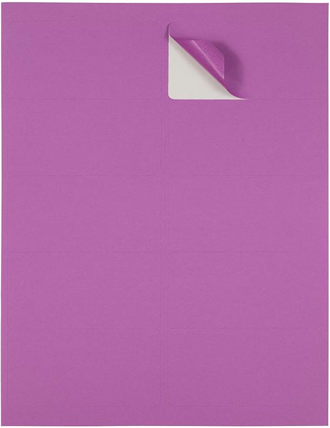 JAM PAPER Shipping Address Labels - Standard Mailing - 2 x 4 - Violet - 120/Pack