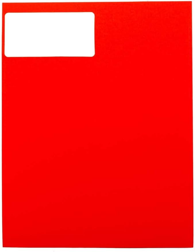 JAM PAPER Shipping Address Labels - Standard Mailing - 2 x 4 - Assorted Bright Neon Fluorescent - 6 Packs of 20 Labels - 120 Labels Total