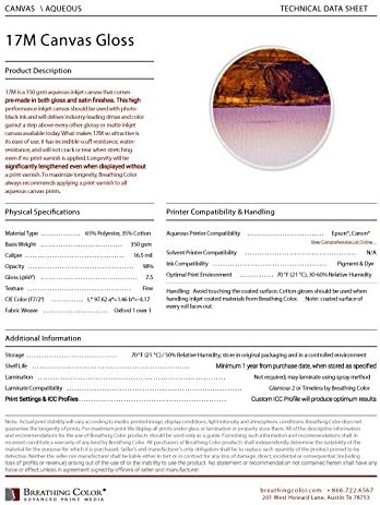 17M Gloss 17in x 10ft 17mil Thickness, Designed For You to Print and Stretch Without Varnishing in Between. Compatible With Most Roll Fed Epson, Canon, HP Printers