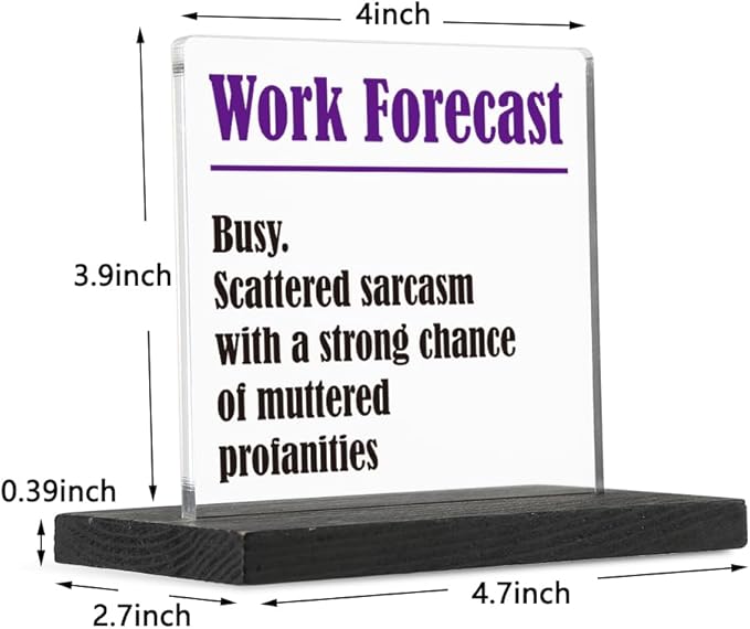 THRXOBN Cute Desk Decor for Coworker, Funny Profanity Gift for Work Colleague, Employee, Joke Birthday Office Gift for Coworker,Transparent Acrylic Desk Decoration, WYZ1