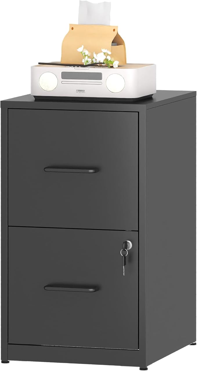2 Drawer File Cabinet, Metal Vertical Filing Cabinet Under Desk Storage, Small Locking File Cabinets for Home Office, Easy Assemble(Black)